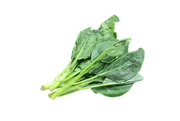 Kale on white background