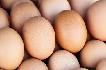 Egg packaging Isolated  background