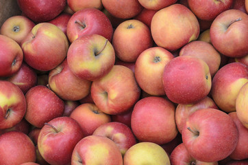 apples