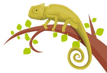 Chameleon