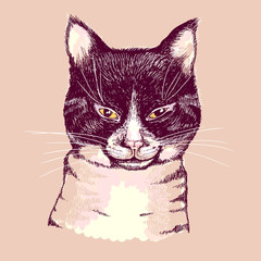 Cartoon portrait of a cat