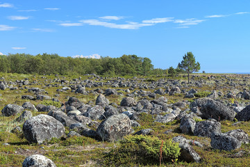 Fototapeta na wymiar Field with stones on the Bolshaya Muksalma Island, Russia