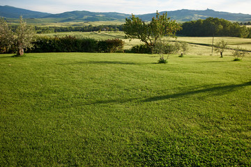 Grass background, Tuscany hills