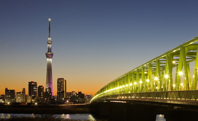 Fototapeta na wymiar Tokyo city and Tokyo skytree at dusk