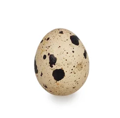 Foto op Plexiglas quail egg © geniuskp