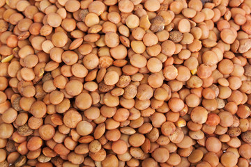 dry lentils