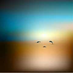 Sunset beach. Sea with dolphins.