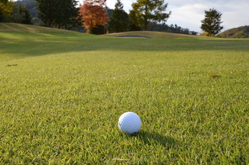 フェアウェイとゴルフボール