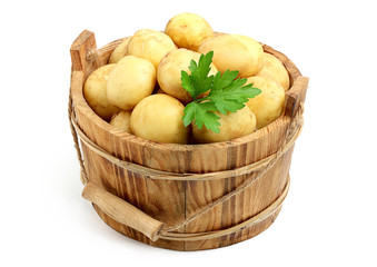 Fresh, raw potatoes in a bucket.