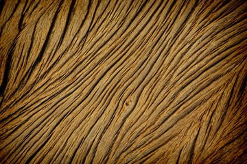 Texture of old wood used as background