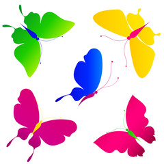 butterflies design