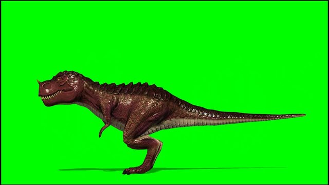 Dinosaur Tyrannosaurus T-Rex dies - green screen