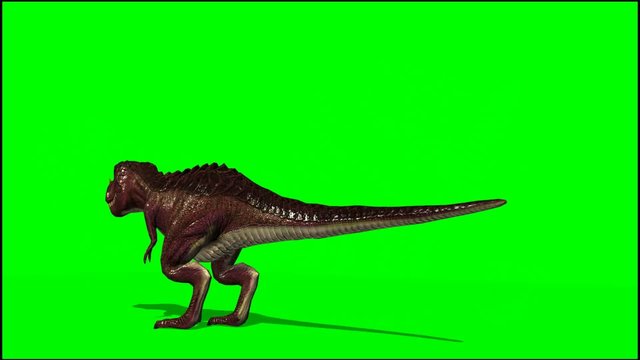 Dinosaur Tyrannosaurus T-Rex dies - green screen