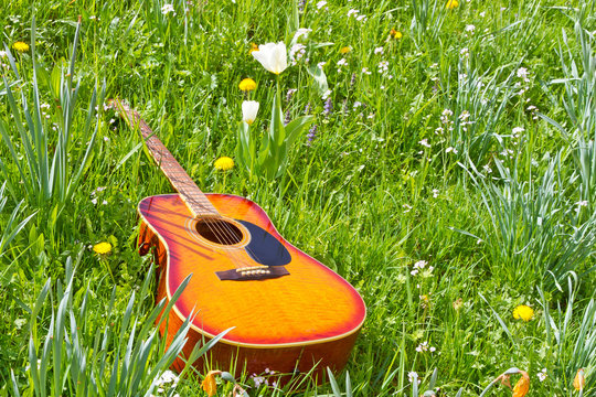 Gitarre im Gras