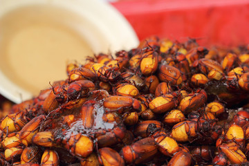 close up of fried insect