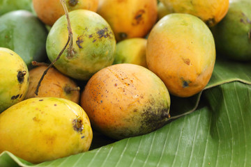Ripe mango in the market