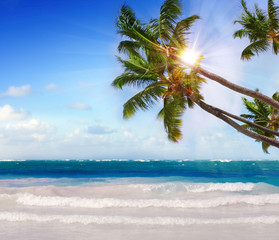 Caribbean beach and sun shining. 