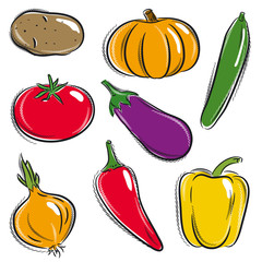set of vegetable, potato, pumpkin, cucumber, vector
