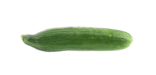 Fresh cucumber.