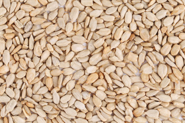 Sunflower seeds.
