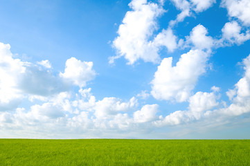Fototapeta premium Landscape sunlit green field and blue sky with clouds