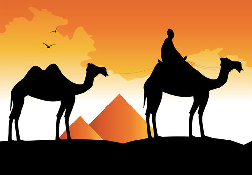 silhouette di cammelli e piramidi sullo sfondo