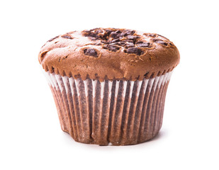 chocolate muffin isolated