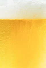 Glass of fresh beer with cap of foam on white background