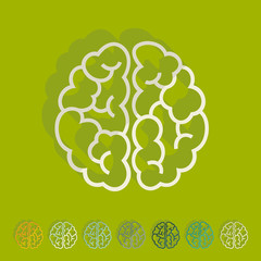 Flat design: brain