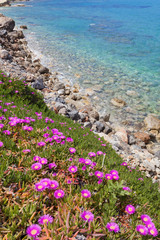 Obraz premium Kreta - Griechenland - Frühling in Chersonissos
