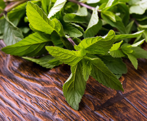 Mint leaves on the table © Diana Vyshniakova