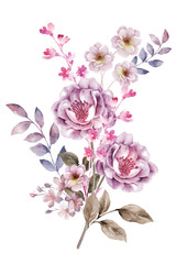 watercolor illustration flowers in simple background - 65552517
