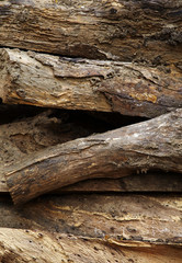 old and dirty woodpile in sun light