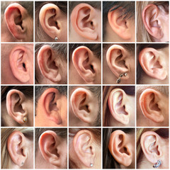 orecchie collage - 65553920