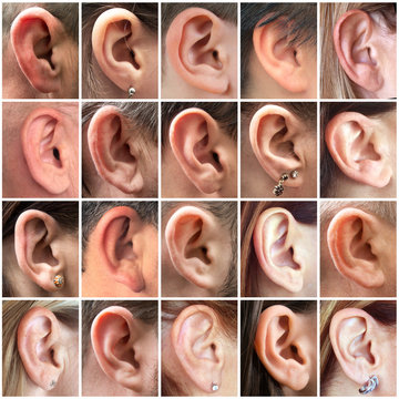 orecchie collage