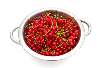 red currant in metallic collander