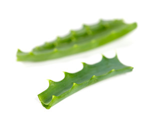 aloe vera isolated on white