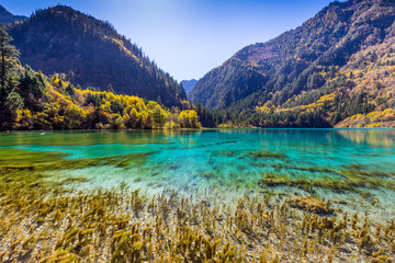 Jiuzhaigou Valley Scenic and Historic Interest Area