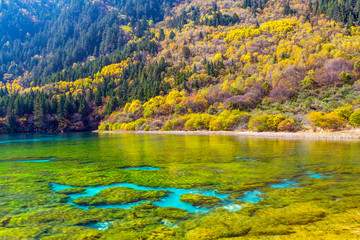 Jiuzhaigou Valley Scenic and Historic Interest Area