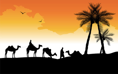 Fototapeta na wymiar carovana di cammelli nel deserto