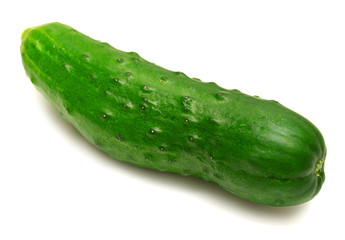 Cucumber