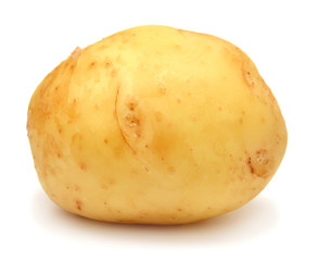 Potato