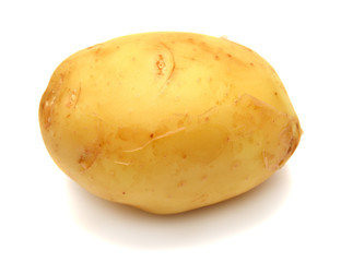 Potato
