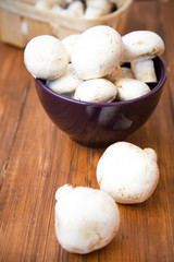 mushroom