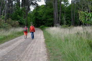 Obraz premium Promeneurs en forêt