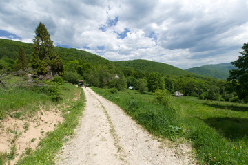 Naklejka na ściany i meble Górski szlak, Bieszczady