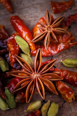 Gewürze - Sternanis, Chilischoten, grüner Kardamom