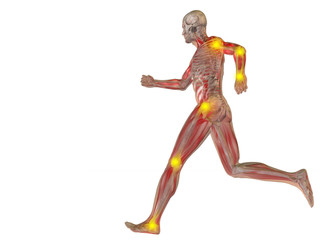 Fototapeta na wymiar 3D human man anatomy with articular pain