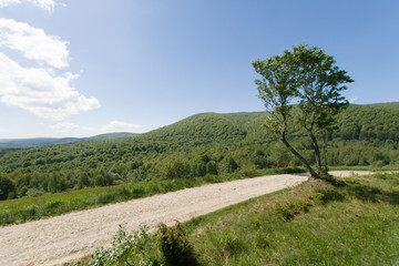 Szlak turystyczny w górach, Bieszczady, Polska 