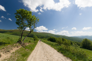Szlak turystyczny w górach, Bieszczady, Polska 
